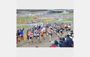 50e cross national des pompiers à Mauquenchy