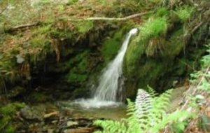 Les résultats du week-end