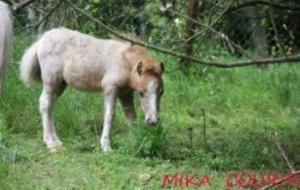 Course nature d'Enelle