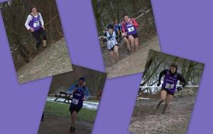  Demi-finale des Championnats de France de cross-country (Liévin - NPC)