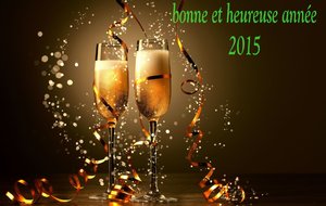 Bienvenue en 2015
