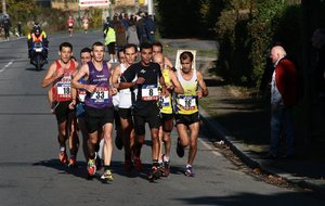 Championnats de France de Marathon