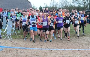 résultats  du WE  ( trail spa ; 10km bar le duc , st Nicolas Nancy ,cross de la warenne , Cormontreuil )