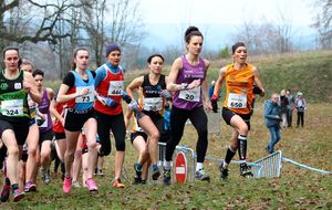 chpts des Ardennes de cross