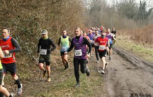  Meeting Premium en salle de Metz  et Foulées des Crayats 