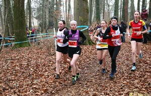 1/2 finale  chpts de France de Cross