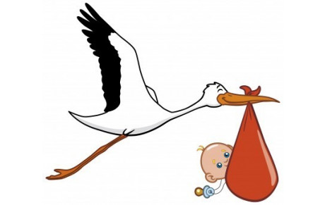Naissance 