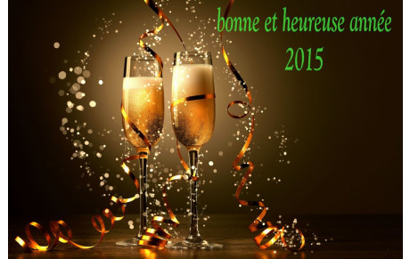 Bienvenue en 2015