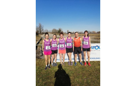 1/2 finale de cross Pfaffenheim