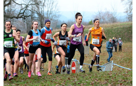 chpts des Ardennes de cross