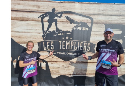  festival des Templiers  ( Millau )