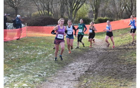 chpt de cross du Grand Est (Sarrebourg)